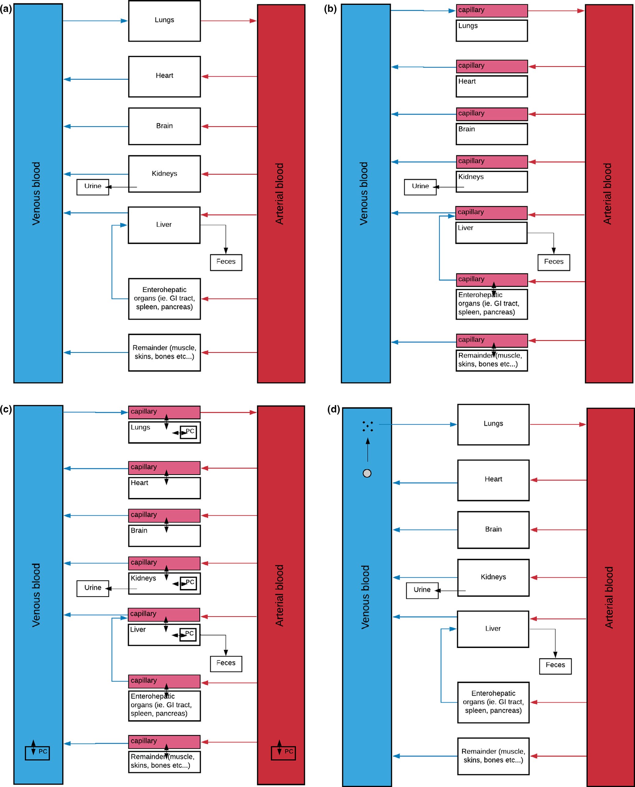 Four whole-body PBPK compartmental diagrams showing arterial and venous blood feeding tissue compartments (lungs, heart, brain, kidneys, liver, enterohepatic organs, remainder) with variants that add capillary subcompartments and phagocytizing-cell subcompartments.