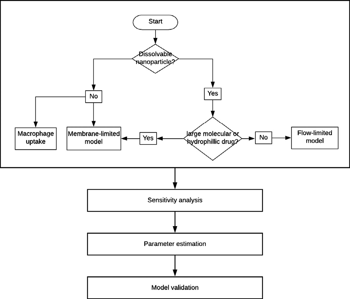 Flow chart starting from 'Dissolvable nanoparticle?' branching to macrophage uptake, membrane-limited, and flow-limited model structures, then to sensitivity analysis, parameter estimation, and model validation.